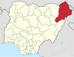 Seven Abducted NECO Candidates Rescued as Search Continues in Borno
